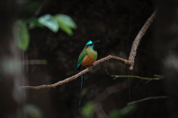 comment utiliser les publicités natives dans sa stratégie marketing